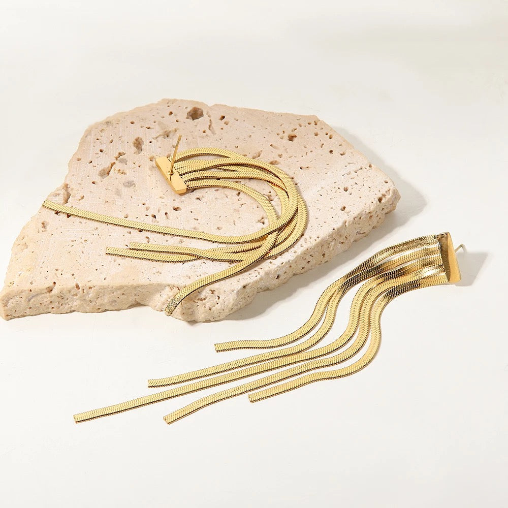 Long tassel pedant earrings