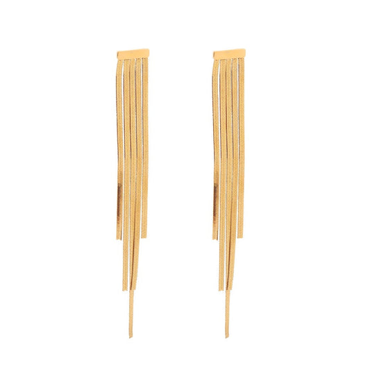 Long tassel pedant earrings